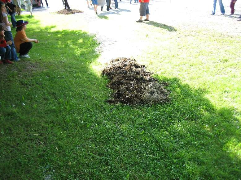 2007 juhegana 20110325