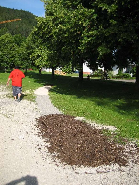 2007 juhegana 20110325