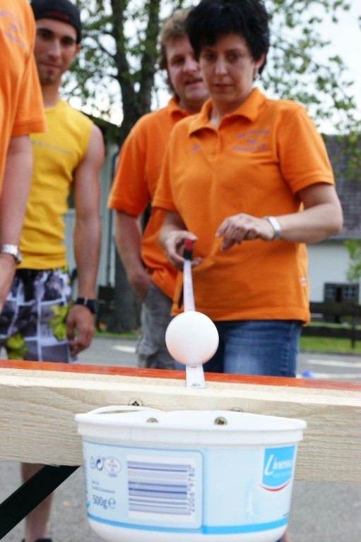 2010 juhegana 20110325