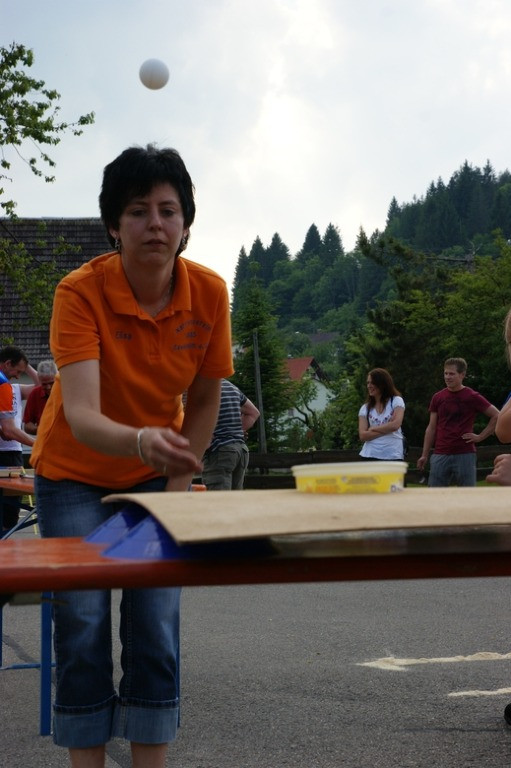 2010 juhegana 20110325