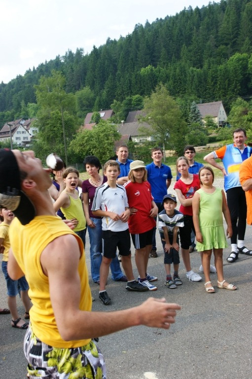 2010 juhegana 20110325