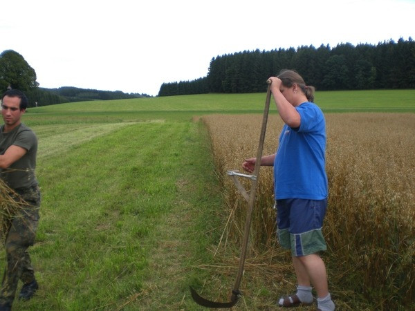 2010 strohschneiden 20110329
