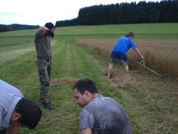 2010 strohschneiden 20110329