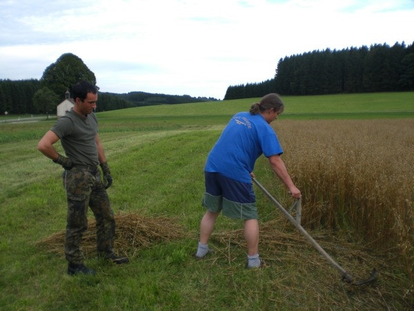 2010 strohschneiden 20110329