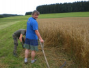 2010 strohschneiden 20110329