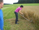 2010 strohschneiden 20110329