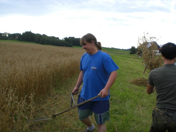 2010 strohschneiden 20110329