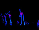 2011 bunter abend egesheim 20110325