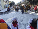 2011 umzug trossingen 20110325