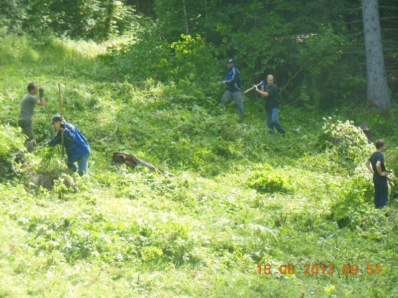 2013 wachholderheide 20130701