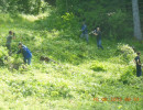 2013 wachholderheide 20130701
