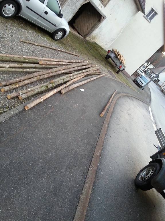 2014 fasnetsbaendel die 1ste 20140120