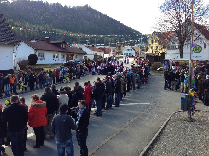2014 festumzug vom sprecherwagen aus 20140304