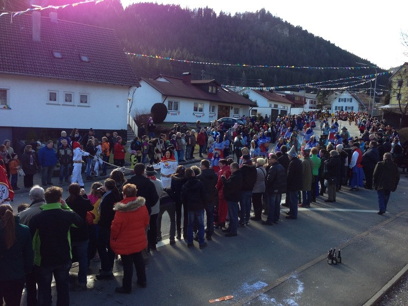 2014 festumzug vom sprecherwagen aus 20140304