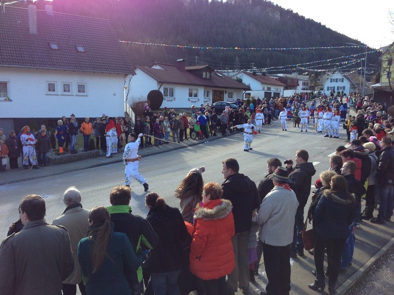 2014 festumzug vom sprecherwagen aus 20140304