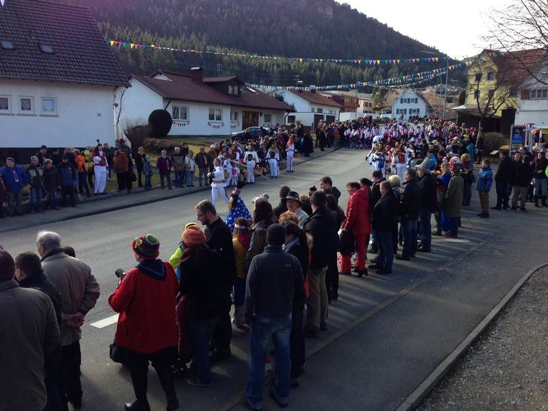 2014 festumzug vom sprecherwagen aus 20140304