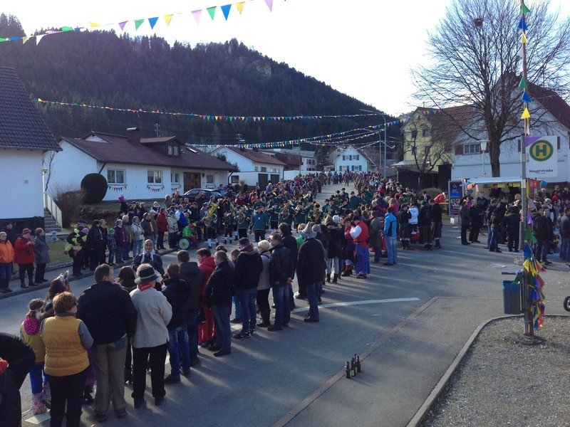 2014 festumzug vom sprecherwagen aus 20140304