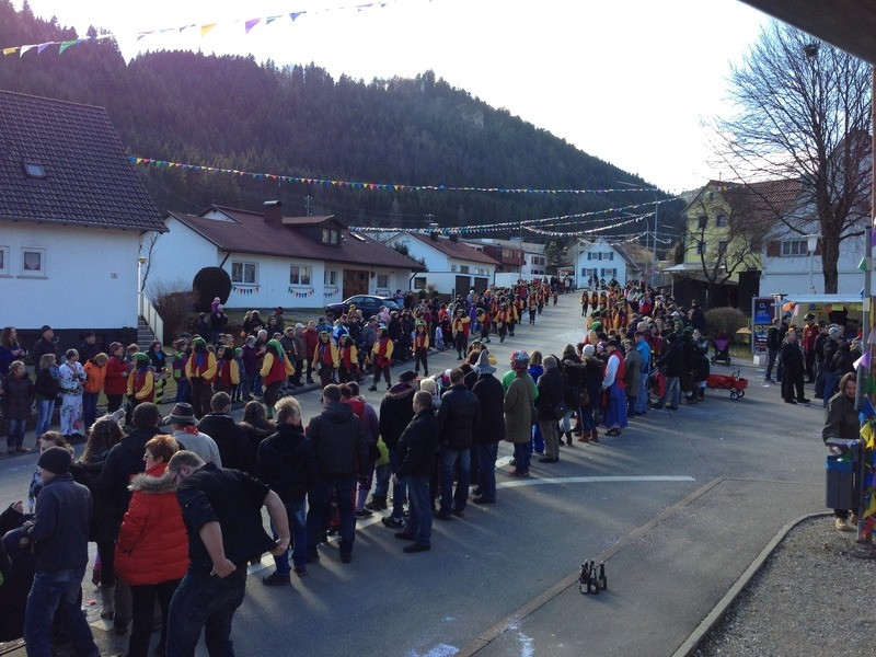 2014 festumzug vom sprecherwagen aus 20140304