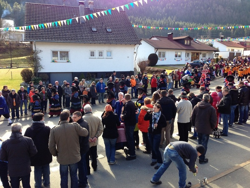 2014 festumzug vom sprecherwagen aus 20140304