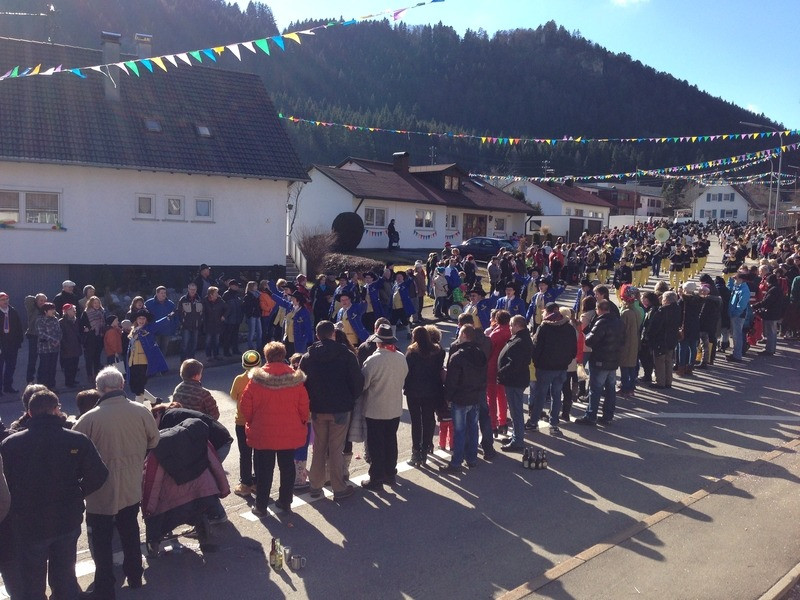 2014 festumzug vom sprecherwagen aus 20140304