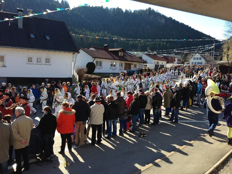 2014 festumzug vom sprecherwagen aus 20140304