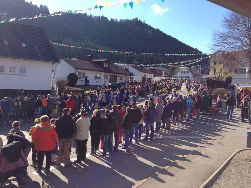 2014 festumzug vom sprecherwagen aus 20140304