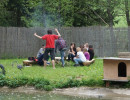 2015 spanferkel grillfest 20150517