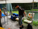 2015 spanferkel grillfest 20150517