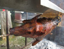 2015 spanferkel grillfest 20151019