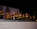 2016 gardewettbewerb frittlingen 20160118