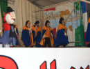 2009 brauchtumsabend bubsheim 20110325