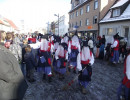 2011 umzug trossingen 20110325